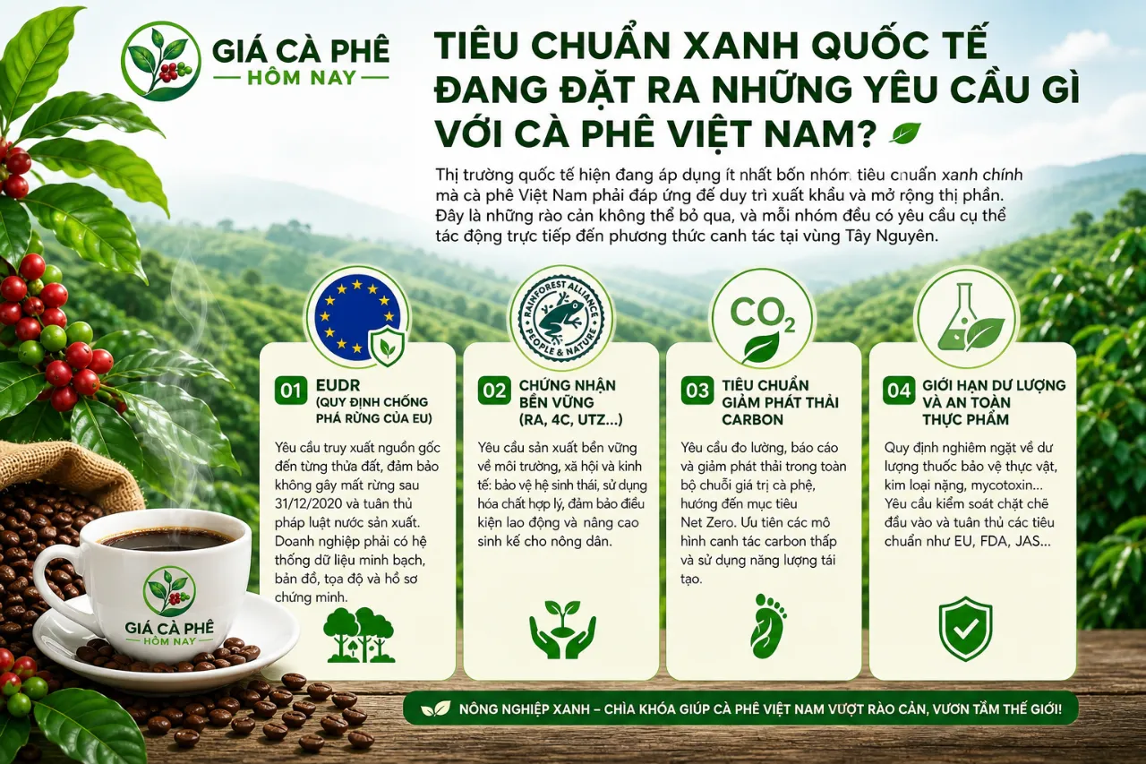 Tiêu Chuẩn Xanh Quốc Tế Đang Đặt Ra Những Yêu Cầu Gì Với Cà Phê Việt Nam?