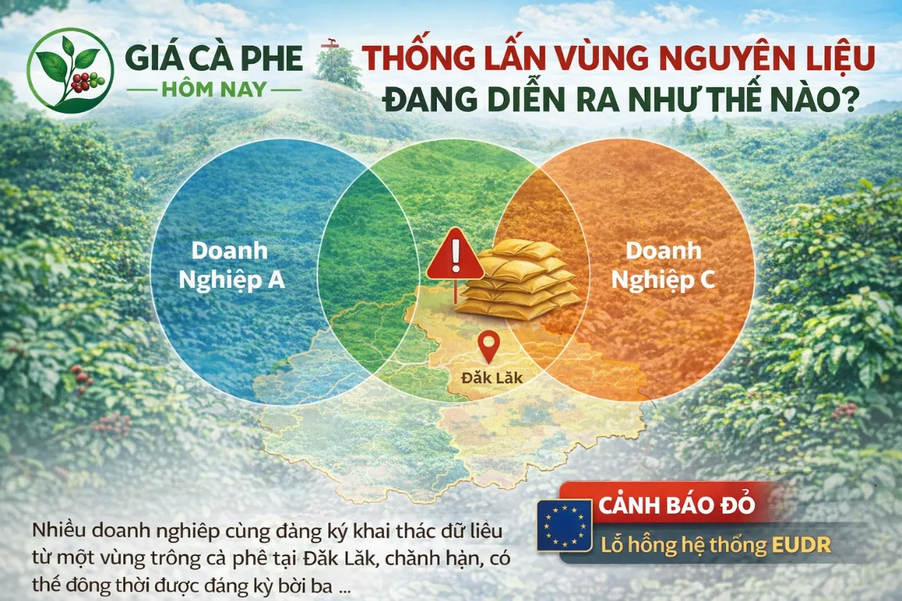 Tình Trạng Chồng Lấn Vùng Nguyên Liệu Đang Diễn Ra Như Thế Nào?