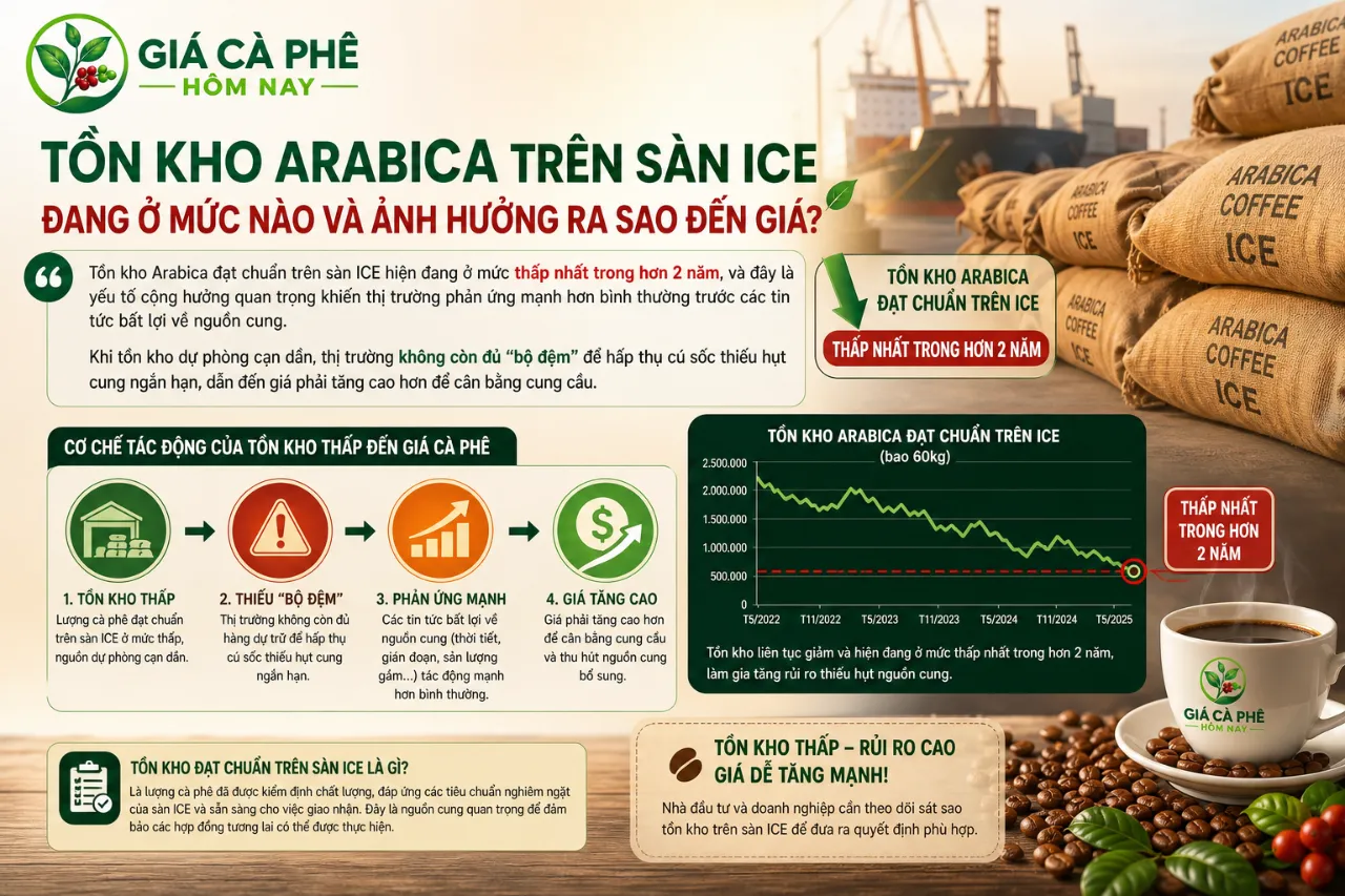 Tồn Kho Arabica Trên Sàn ICE Đang Ở Mức Nào Và Ảnh Hưởng Ra Sao Đến Giá?