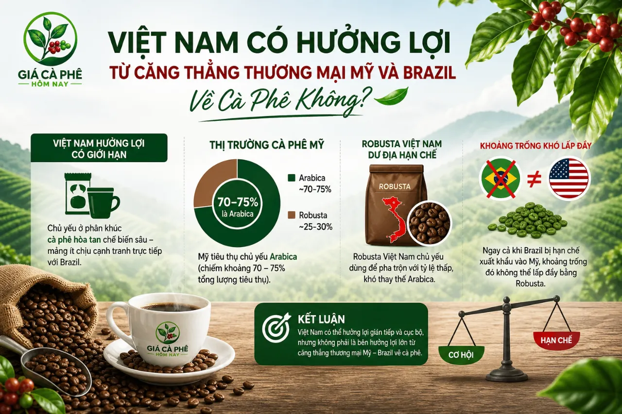Việt Nam Có Hưởng Lợi Từ Căng Thẳng Thương Mại Mỹ và Brazil VềCà Phê Không?