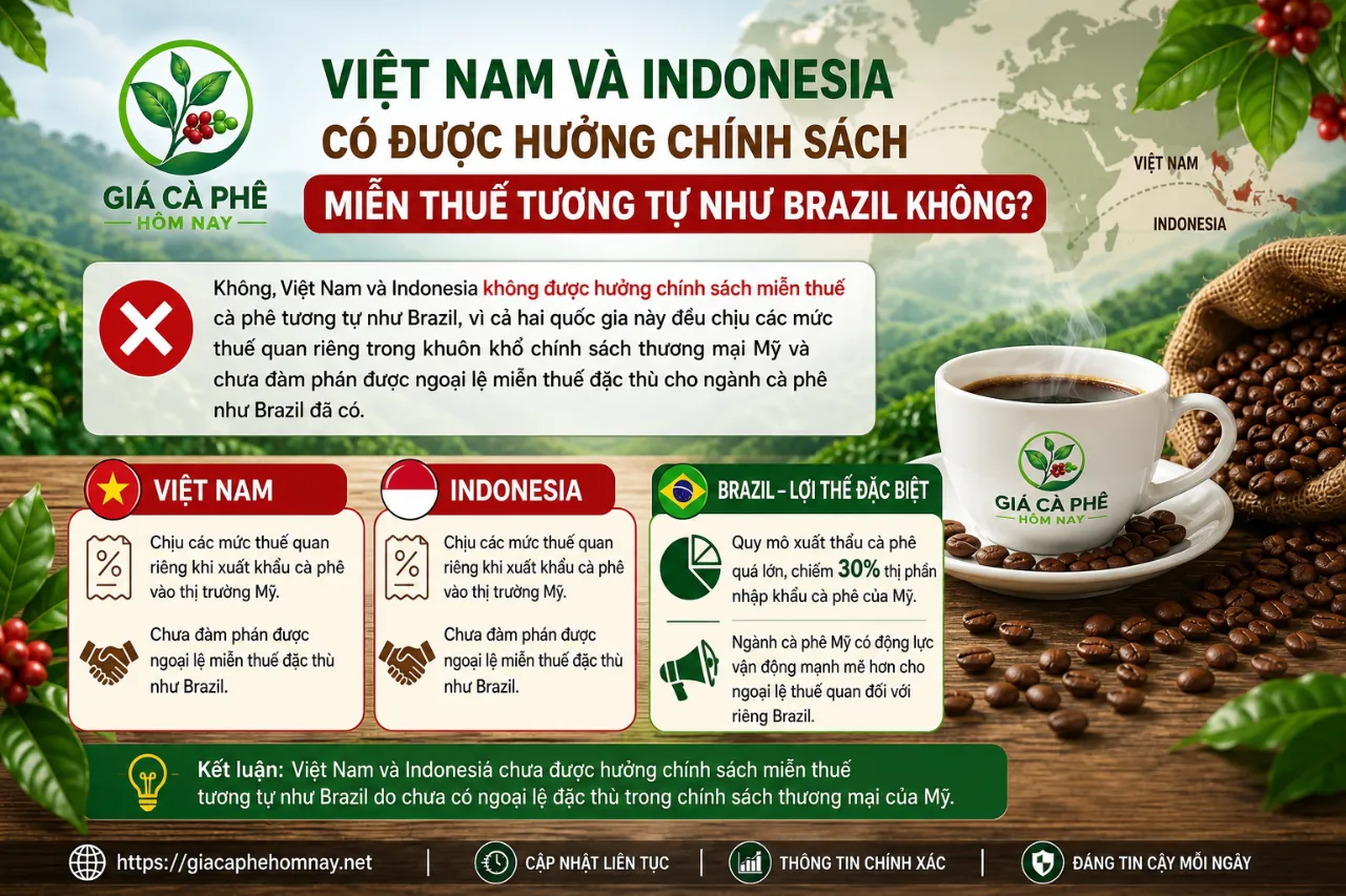 Việt Nam và Indonesia Có Được Hưởng Chính Sách Miễn Thuế Tương Tự Như Brazil Không?