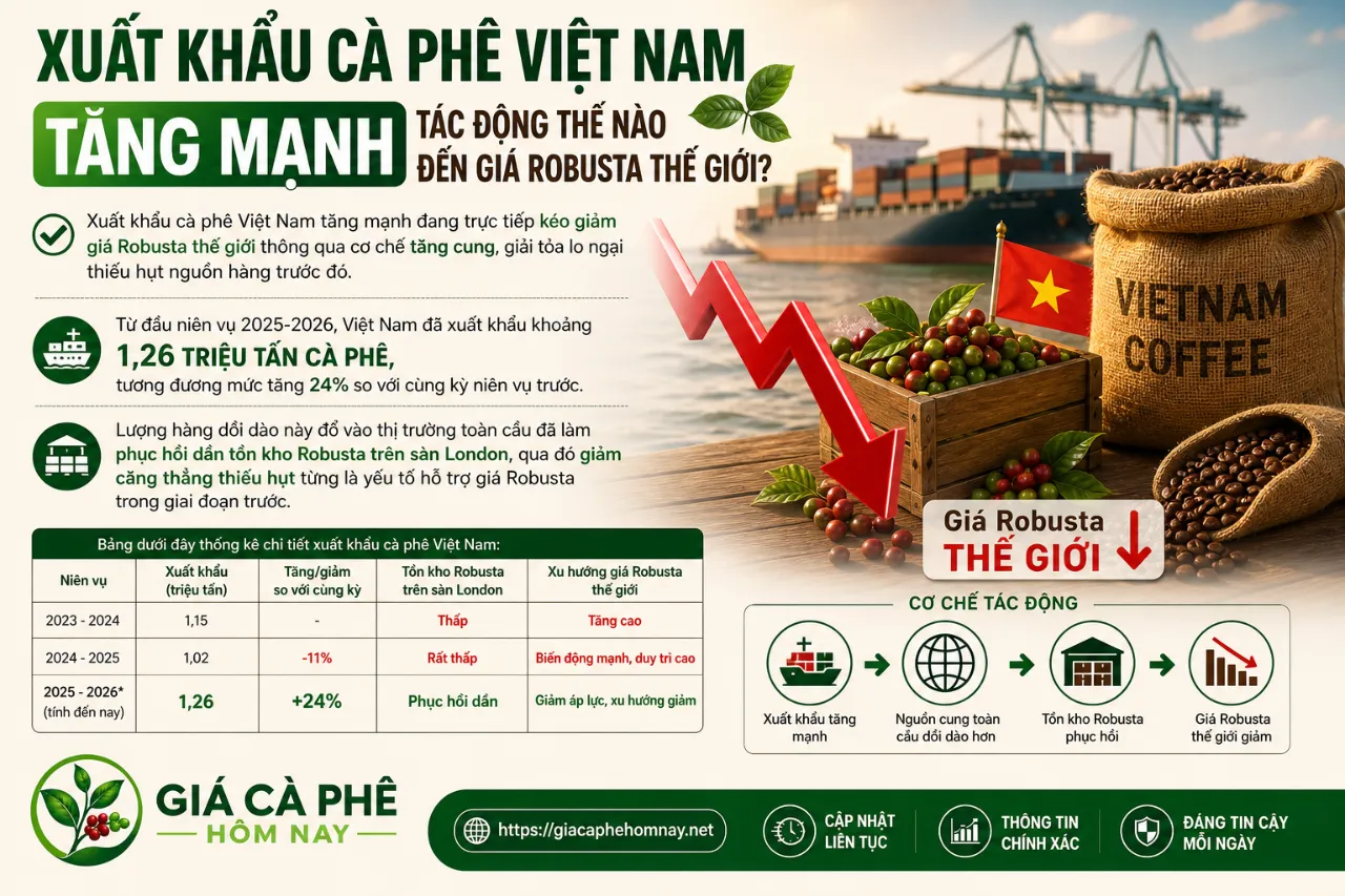 Xuất Khẩu Cà Phê Việt Nam Tăng Mạnh Tác Động Thế Nào Đến Giá Robusta Thế Giới?