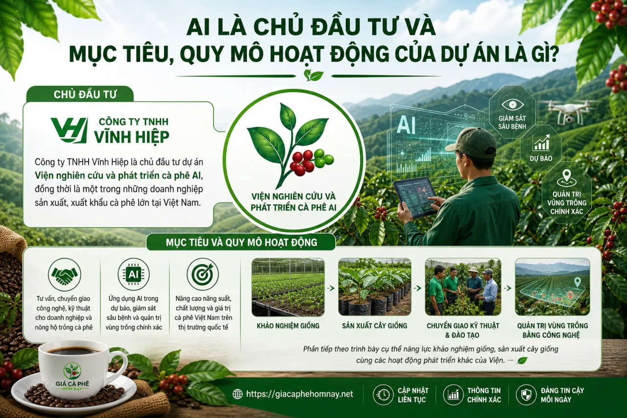 Ai là chủ đầu tư và mục tiêu, quy mô hoạt động của dự án
