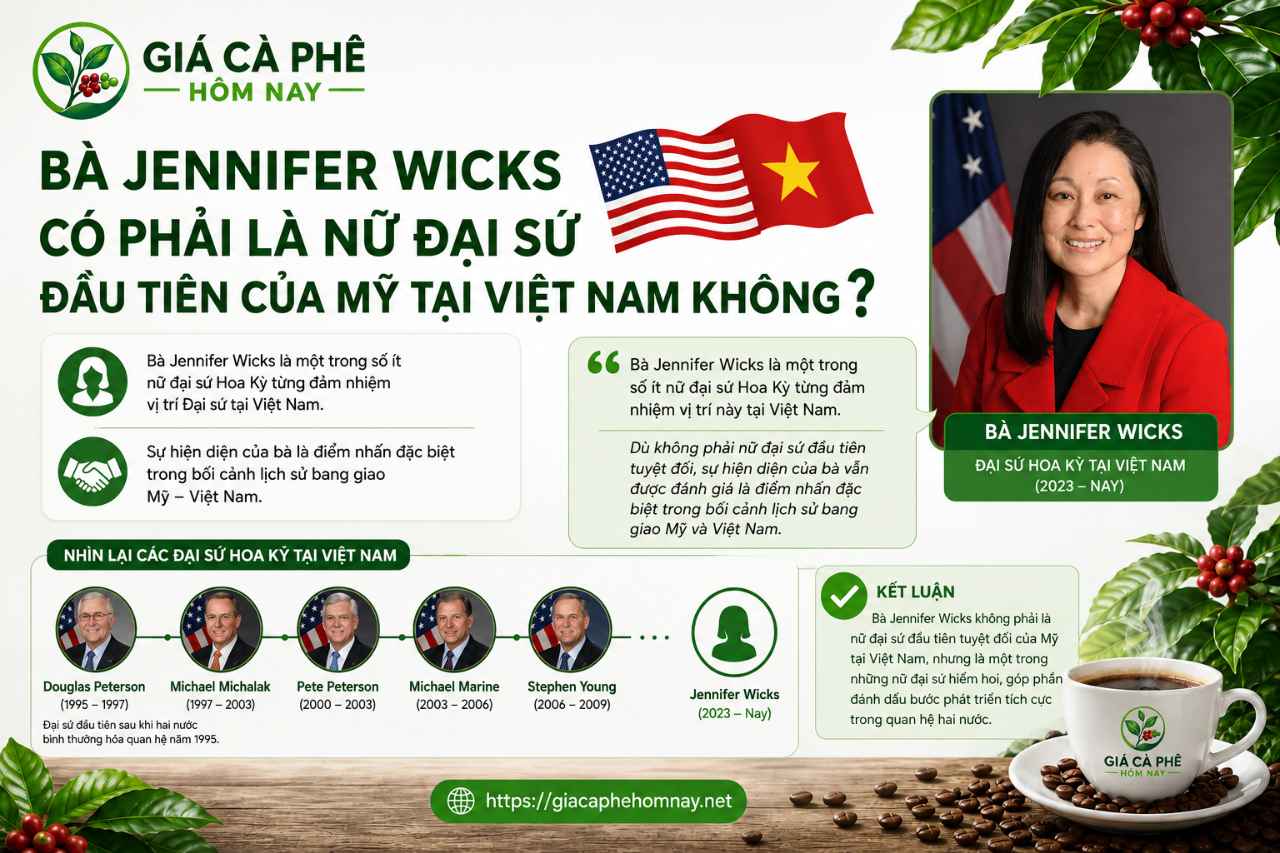 Bà Jennifer Wicks Có Phải Là Nữ Đại Sứ Đầu Tiên Của Mỹ Tại Việt Nam Không?