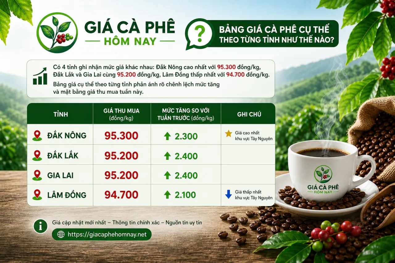 Bảng giá cà phê cụ thể theo từng tỉnh (Đắk Lắk, Gia Lai, Đắk Nông, Lâm Đồng) như thế nào?