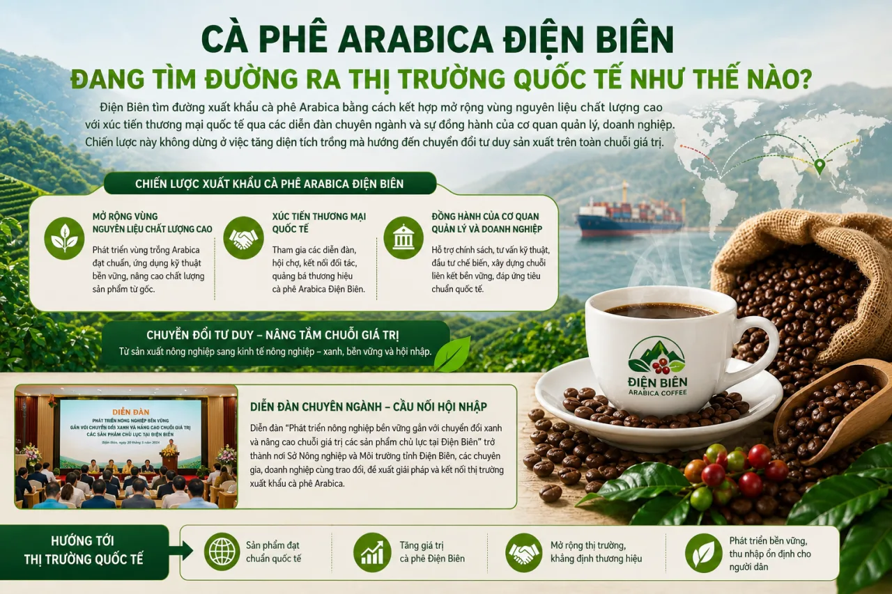 Cà phê Arabica Điện Biên đang tìm đường ra thị trường quốc tế