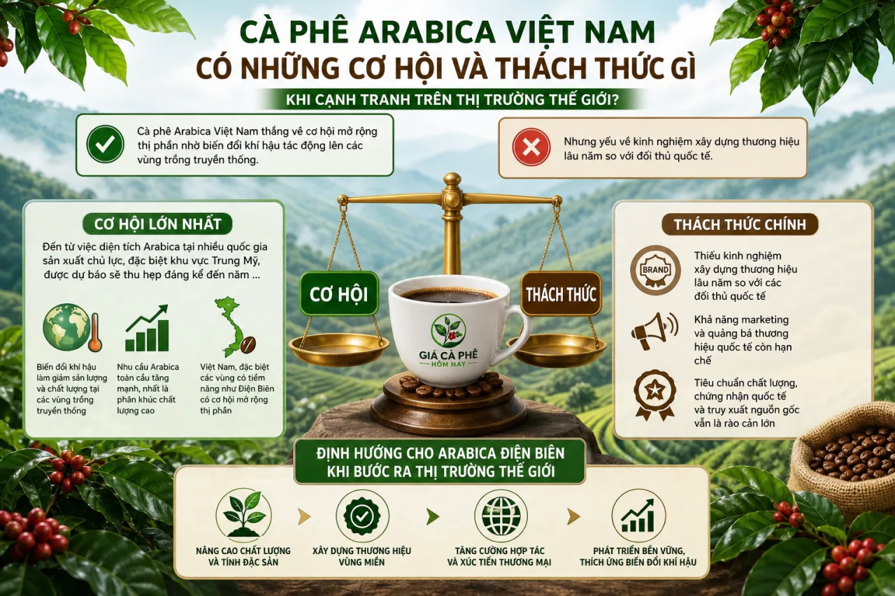 Cà phê Arabica Việt Nam có những cơ hội và thách thức gì khi cạnh tranh trên thị trường thế giới Cà phê Arabica Việt Nam có những cơ hội và thách thức gì khi cạnh tranh trên thị trường thế giới