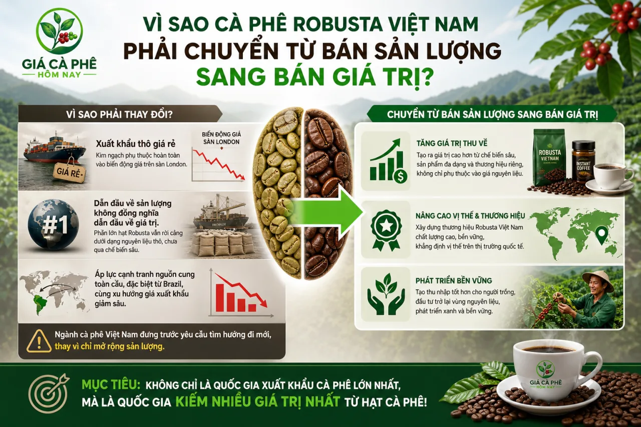 cà phê Robusta Việt Nam phải chuyển từ bán sản lượng sang bán giá trị