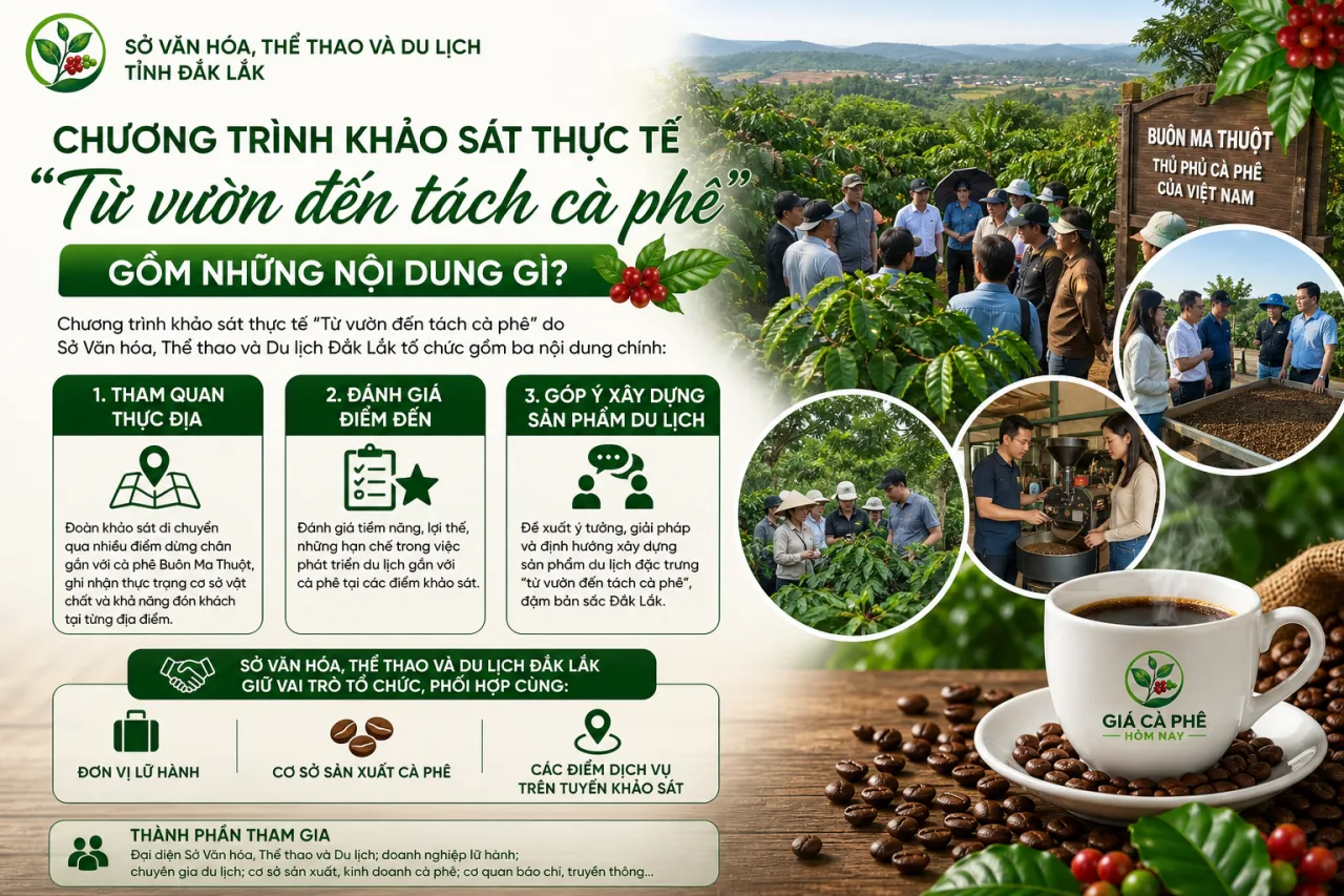 Chương trình khảo sát thực tế "Từ vườn đến tách cà phê" do Sở VHTTDL Đắk Lắk tổ chức gồm những nội dung gì