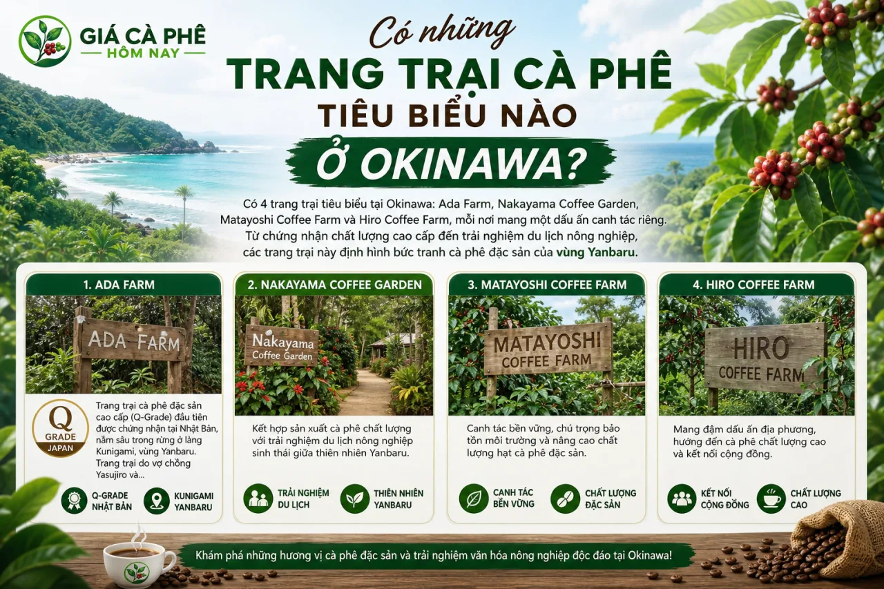 Có những trang trại cà phê tiêu biểu nào ở Okinawa?