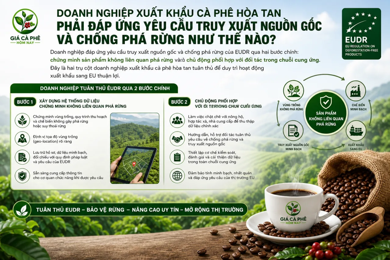 Doanh nghiệp xuất khẩu cà phê hòa tan phải đáp ứng yêu cầu truy xuất nguồn gốc và chống phá rừng Doanh nghiệp xuất khẩu cà phê hòa tan phải đáp ứng yêu cầu truy xuất nguồn gốc và chống phá rừng