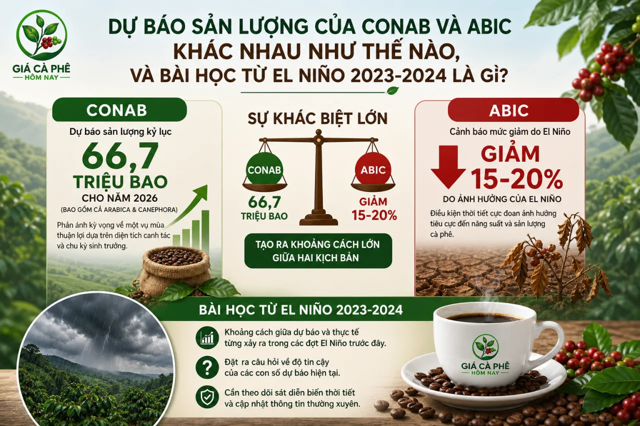 Dự báo sản lượng của Conab và Abic khác nhau như thế nào, và bài học từ El Niño 2023-2024 Dự báo sản lượng của Conab và Abic khác nhau như thế nào, và bài học từ El Niño 2023-2024