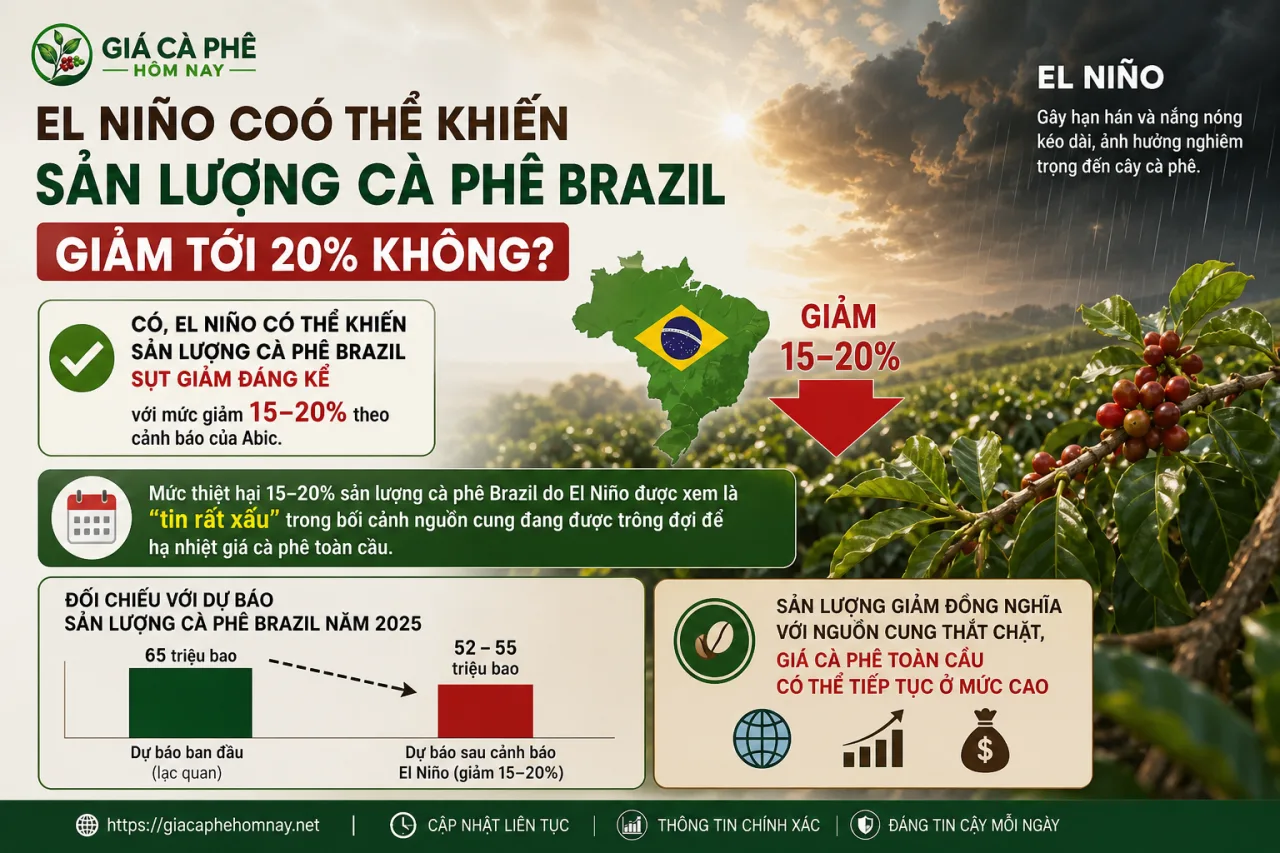 El Niño có thể khiến sản lượng cà phê Brazil giảm tới 20%