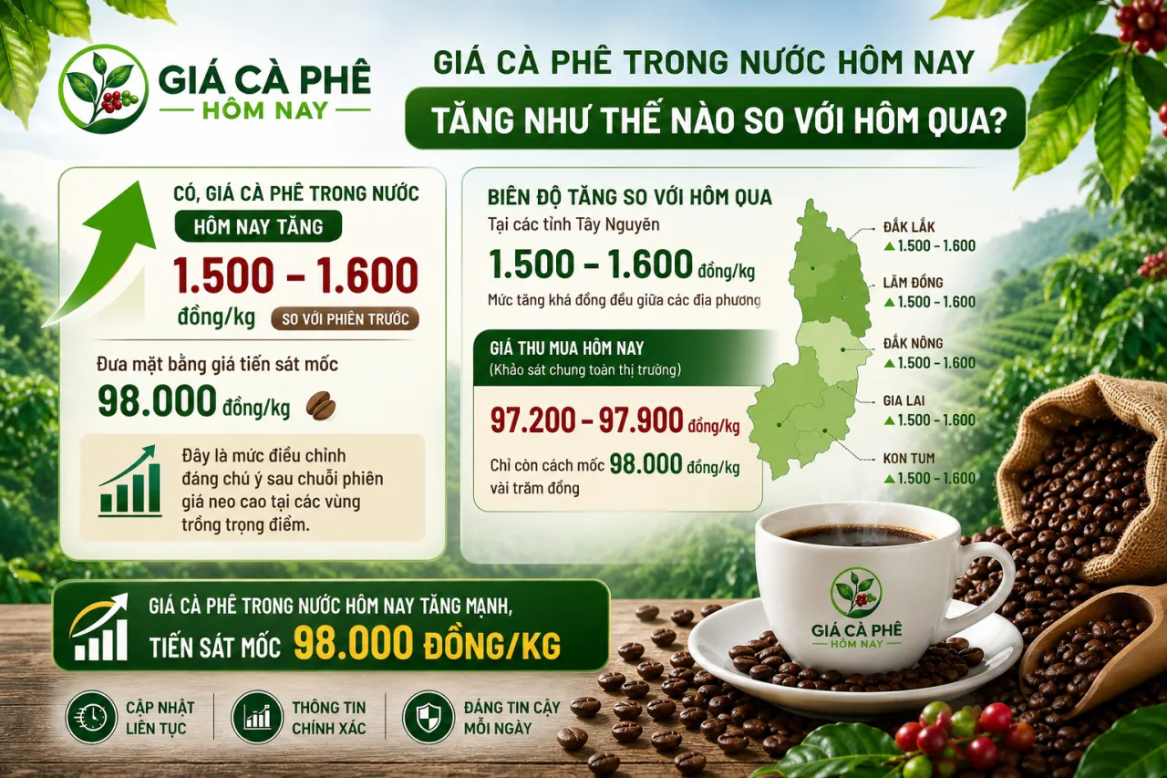 Giá cà phê trong nước hôm nay tăng như thế nào so với hôm qua