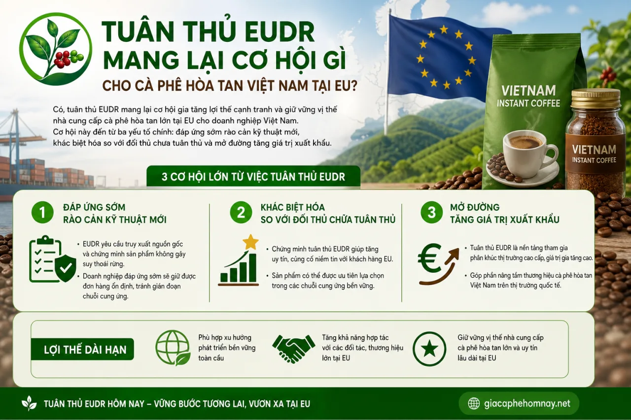 Tuân thủ EUDR mang lại cơ hội gì cho cà phê hòa tan Việt Nam tại EU