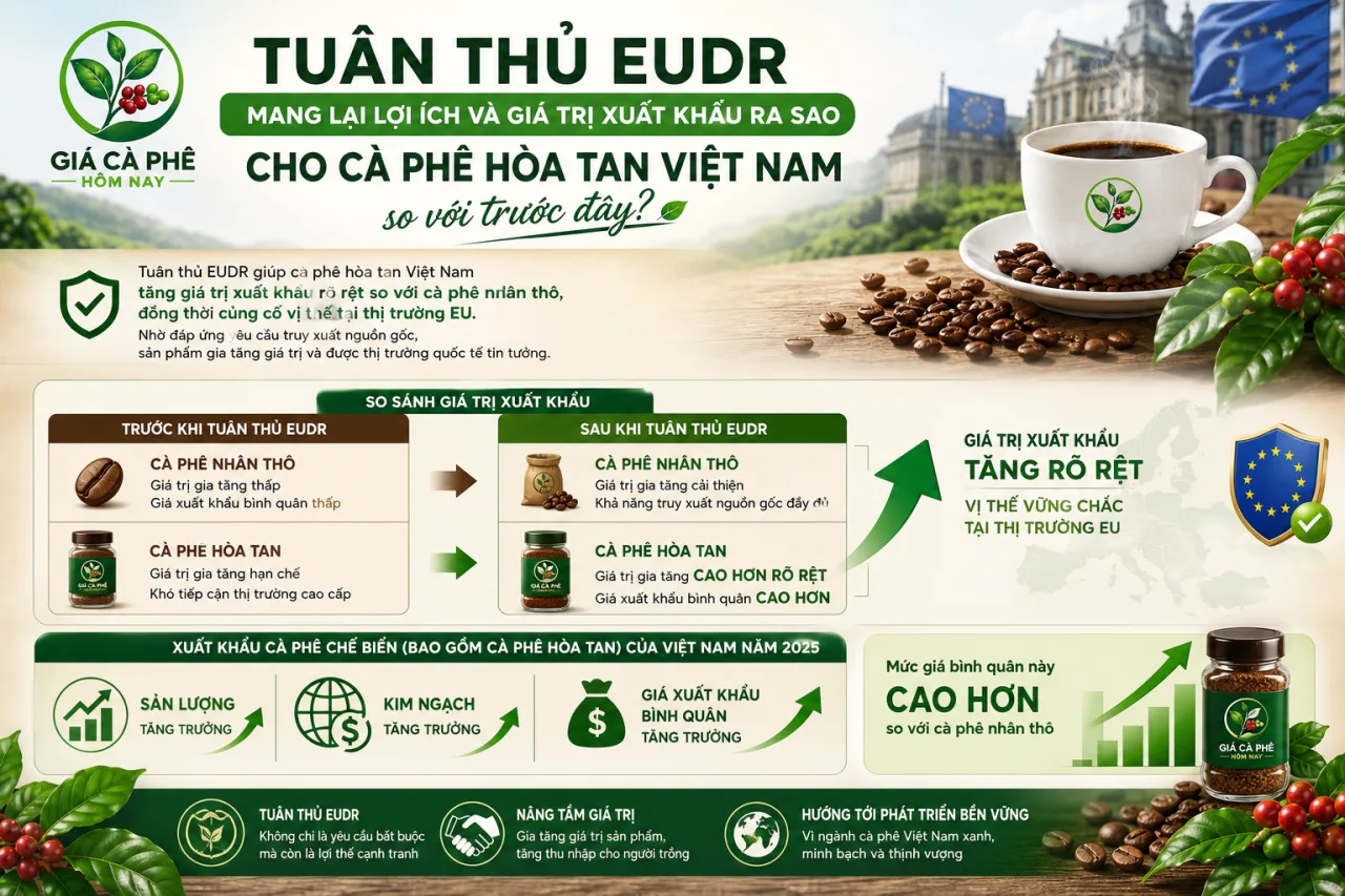 Tuân thủ EUDR mang lại lợi ích và giá trị xuất khẩu ra sao cho cà phê hòa tan Việt Nam so với trước đây Tuân thủ EUDR mang lại lợi ích và giá trị xuất khẩu ra sao cho cà phê hòa tan Việt Nam so với trước đây