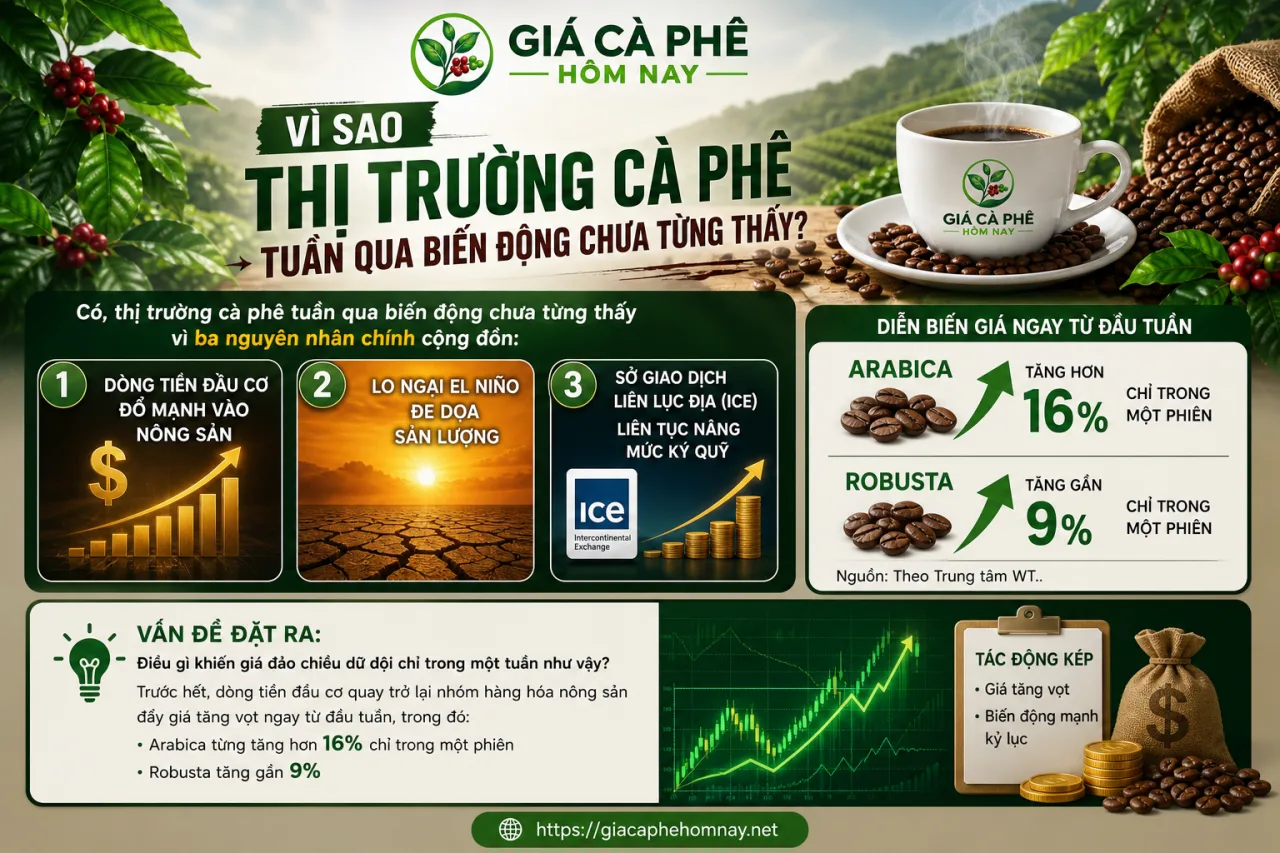 Vì sao thị trường cà phê tuần qua biến động chưa từng thấy?