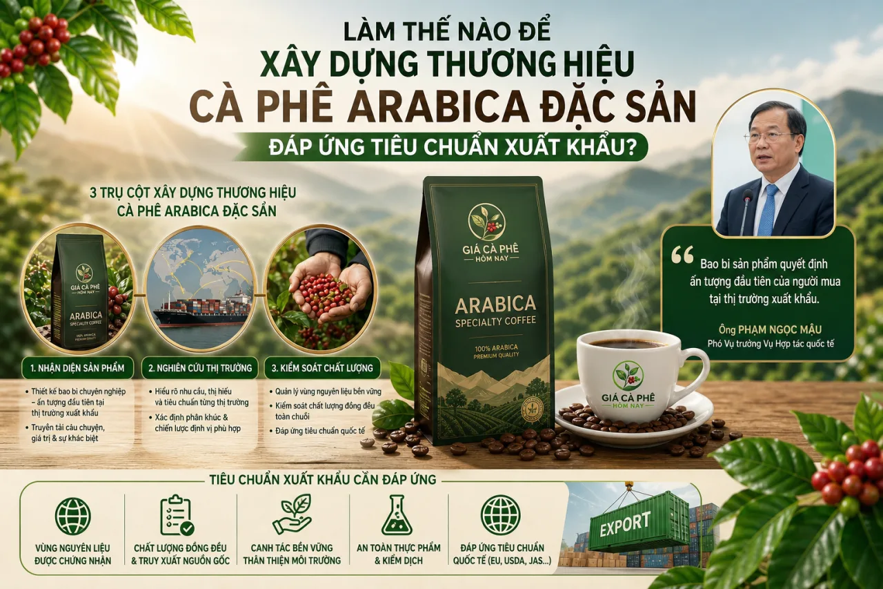 xây dựng thương hiệu cà phê Arabica đặc sản đáp ứng tiêu chuẩn xuất khẩu xây dựng thương hiệu cà phê Arabica đặc sản đáp ứng tiêu chuẩn xuất khẩu
