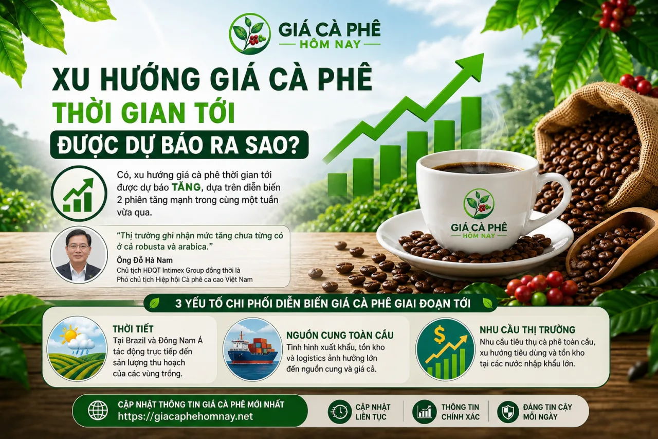 Xu hướng giá cà phê thời gian tới được dự báo ra sao? Xu hướng giá cà phê thời gian tới được dự báo ra sao?