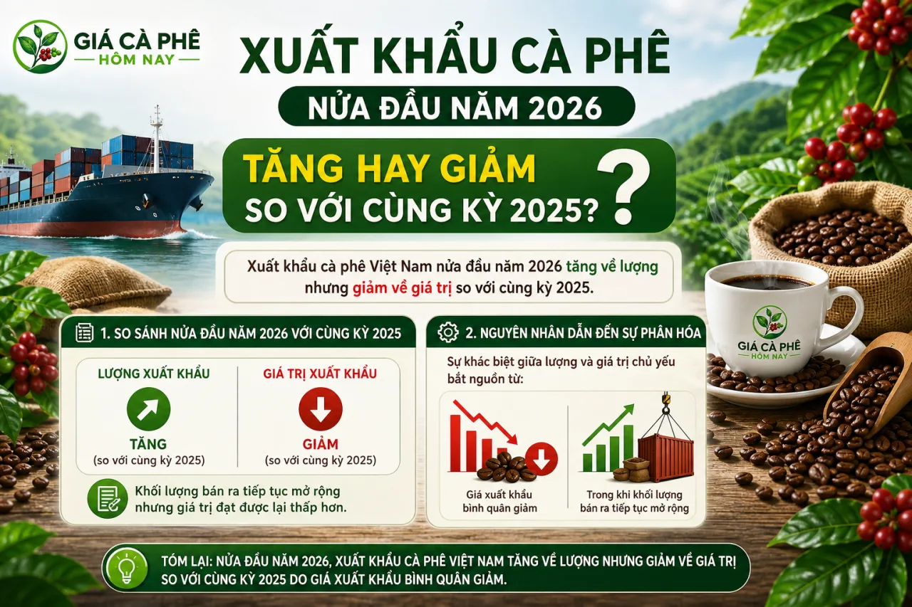 Xuất khẩu cà phê nửa đầu năm 2026 tăng hay giảm so với cùng kỳ 2025