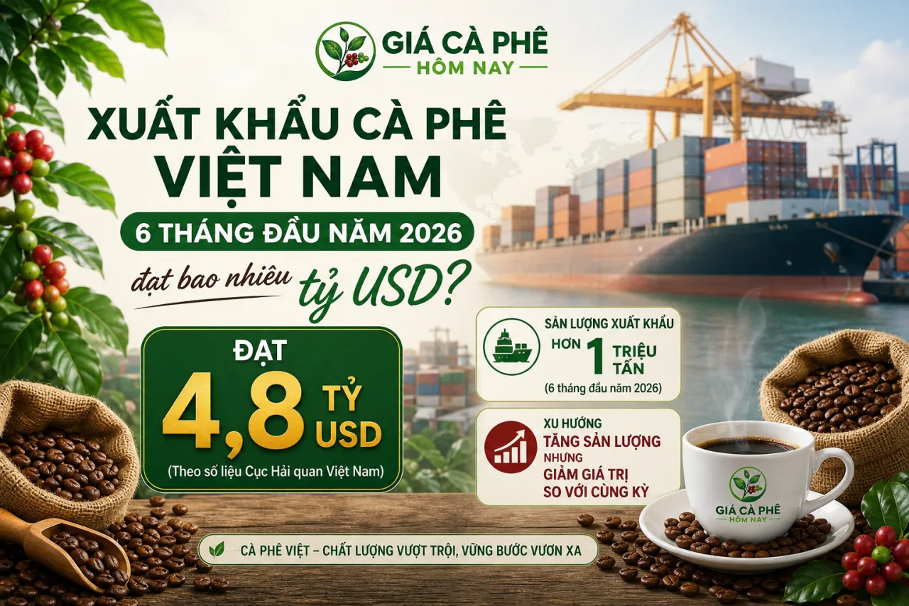 Xuất khẩu cà phê Việt Nam 6 tháng đầu năm 2026 đạt bao nhiêu tỷ USD